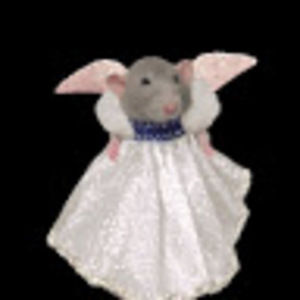 Meet your Posher, Isabella